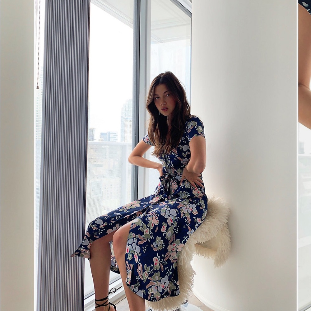 Aritzia wild free shirt dress